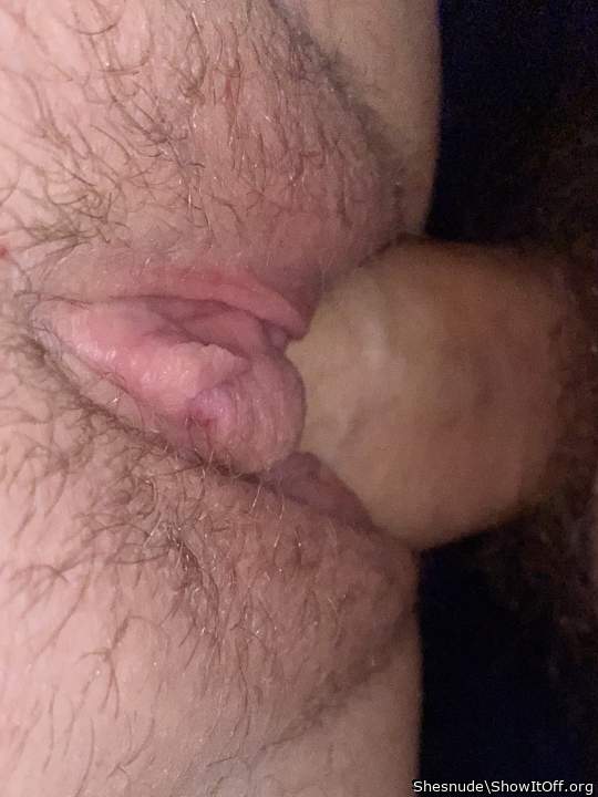 Photo of a ram rod from Shesnude