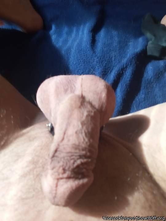 Photo of a thing from Nicecockforyou