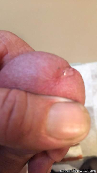 I love the taste of my precum.