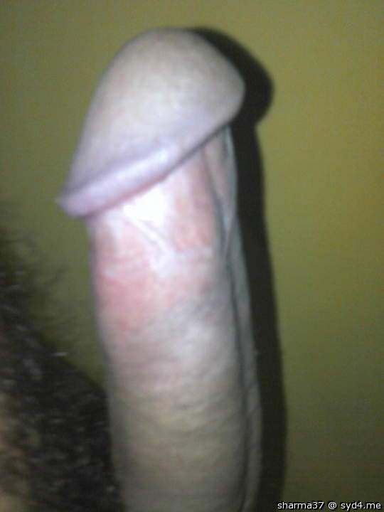 Photo of a third leg from sharma37