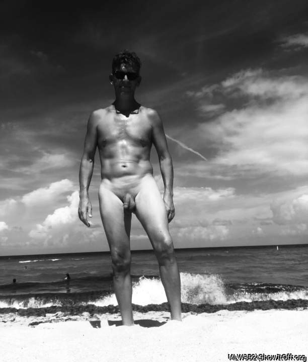 Adult image from MLW352