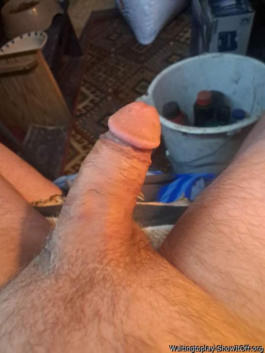 Photo of a horn from Waitingtoplay