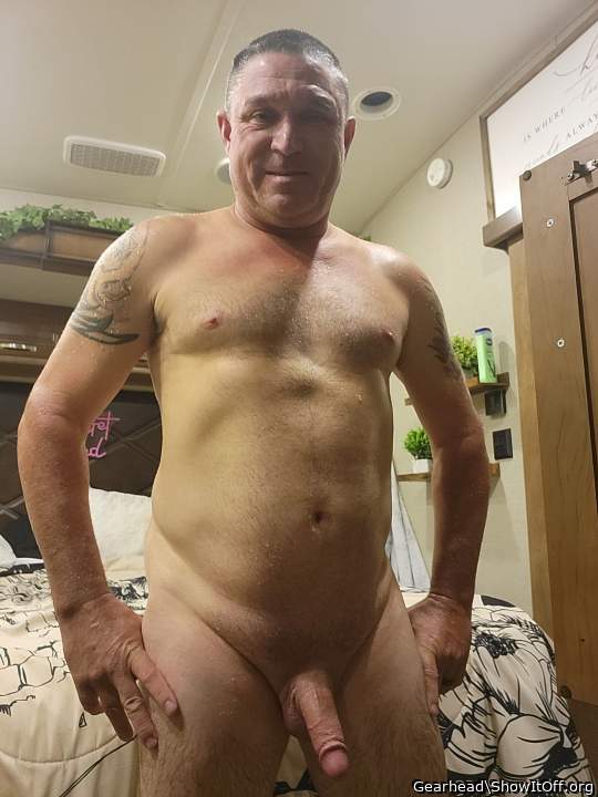 Photo of a python from Gearhead