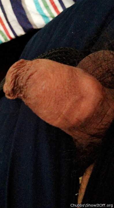 Photo of a boner from Chubbs