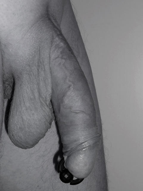 Photo of a meat stick from RedShirt