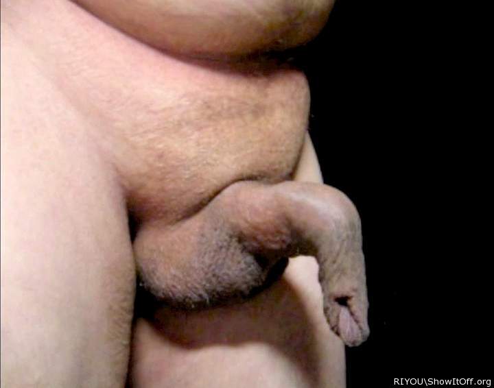 So much to play with...so many possibilities