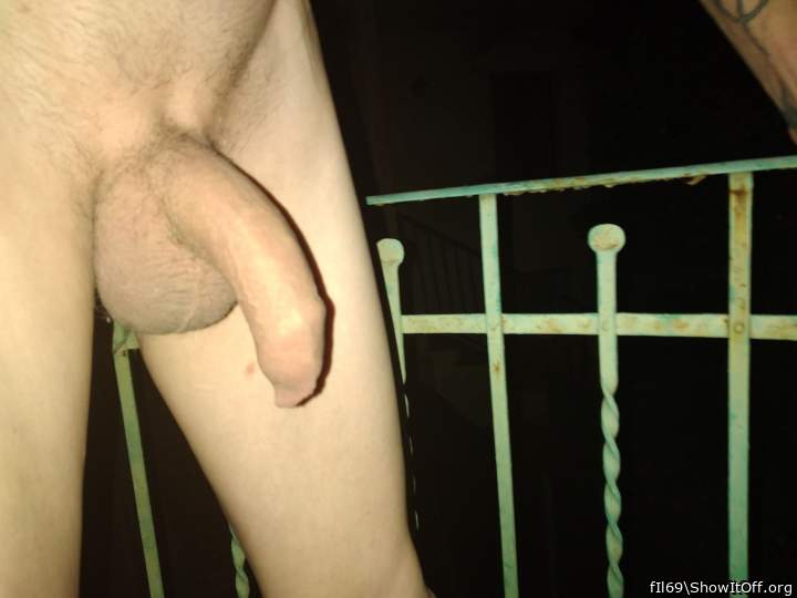 Photo of a rooster from fIl69