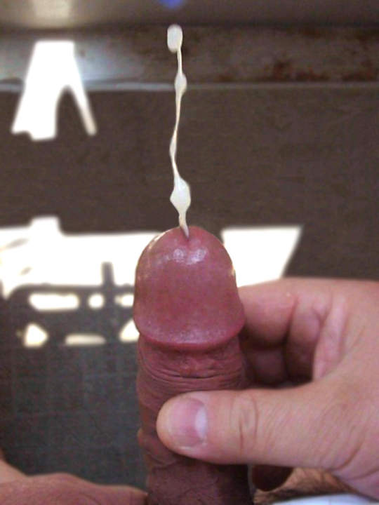 Honryuu (&#22868;&#27969;)