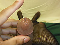 Precum anyone?