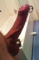my cock
