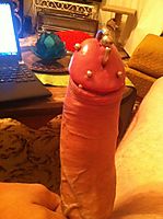 Photo of a member from fulla