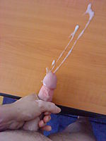 Photo of a phallus from gabriel