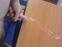 Photo of a snake from gabriel