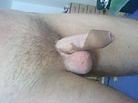 Photo of a sausage from gabriel