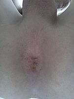 Photo of Man's Ass from xxx25