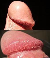 cock pic