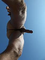 cock photo