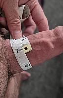 penis photo