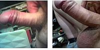 cock photo
