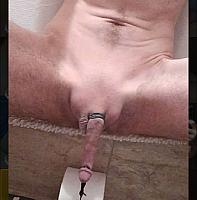 cock