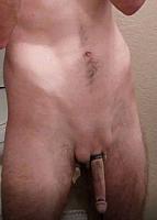 cock photo