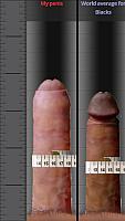 penis photo