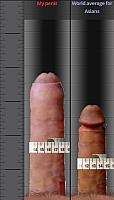 phallus
