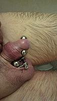 wiener