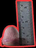 dick