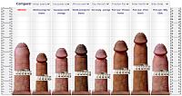 wiener