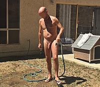 cock image
