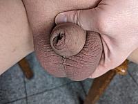penile