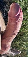 phallus