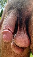 dick