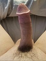 image of a penis
