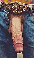 cock photo
