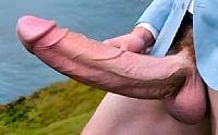 cock photo