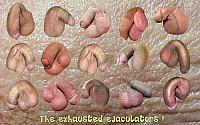 dick