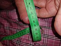 image of a penis