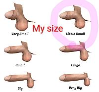 penis pic