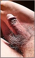 pecker