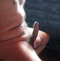 wiener