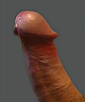 penile