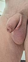 cock pic