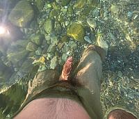 penis pic