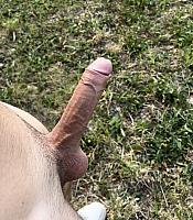 pecker