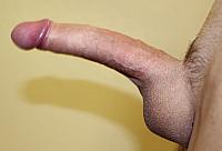 dick image