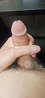 cock photo