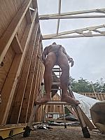 phallus