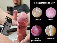 cock image